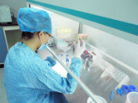 干细胞原代提取/干细胞纯化/干细胞流式鉴定