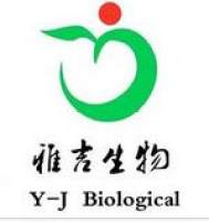 细胞周期检测试剂盒 （微板比色法）