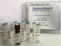 抗体分型试剂盒 单抗分型试剂盒  Clonotyping System-HRP  5300-05