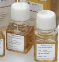 BI特级胎牛血清