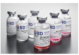 BD Matrigel 基质胶（356234）