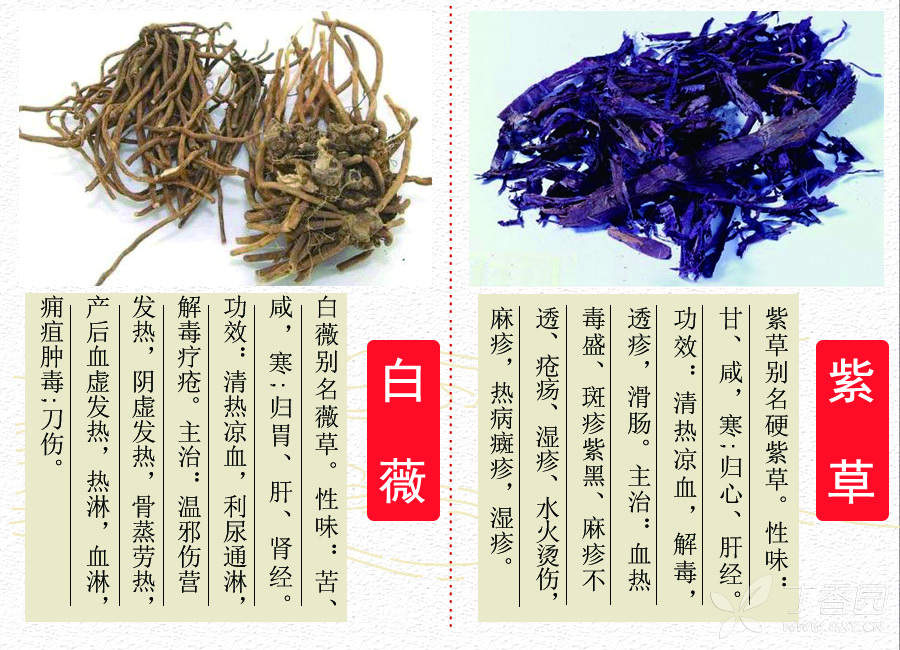 中医(专长)医师资格证书,每日一味学中药—白薇