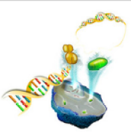 通用质粒小量提取试剂盒