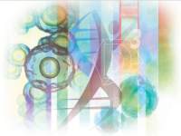 D³ DFA Chlamydiae Culture Confirmation Kit