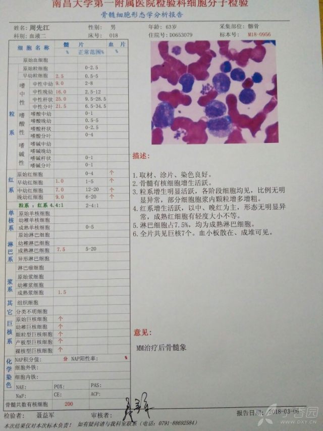 3265573605685794282-16w.jpg!w640