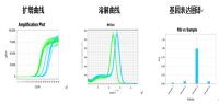 Realtime PCR检测