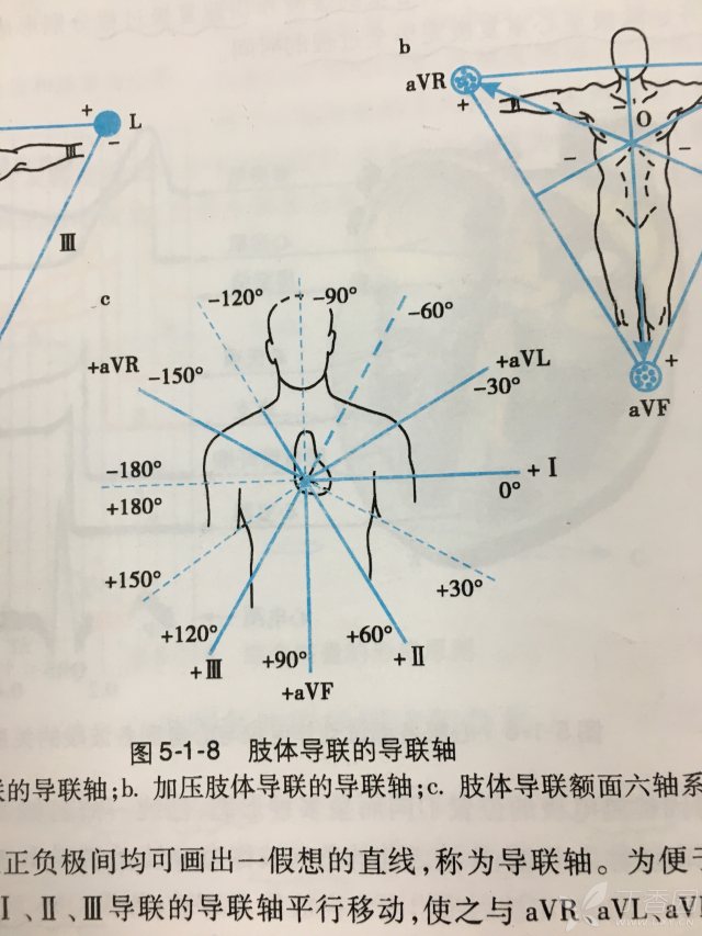 肢体导练图片