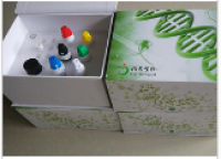 5羟色胺(5-HT)Elisa酶联免疫试剂盒