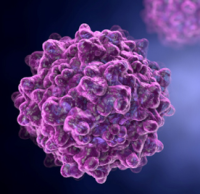 AAV滴度检测试剂盒-促销中