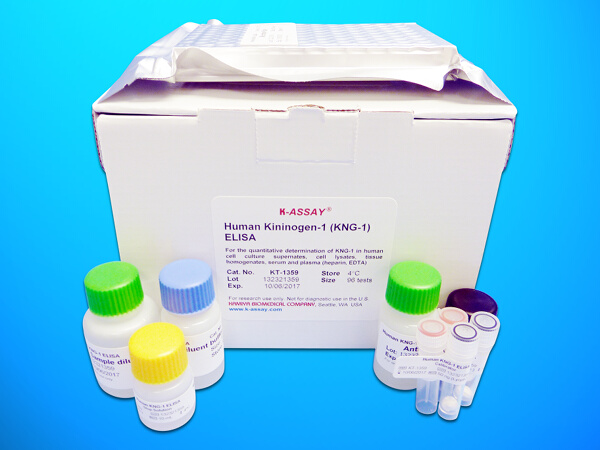 BAG family molecular chaperone regulator 1 (BAG1) ELISA Kit, Human