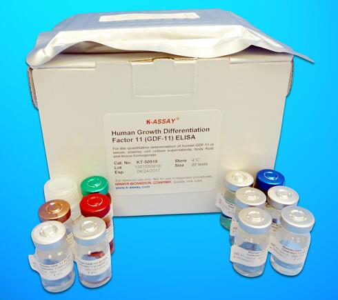 N-MID Osteocalcin ELISA Kit (N-MID-OT), Human