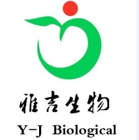 MDCK狗肾进口细胞