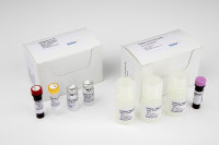Murine DIAplex 5-plex kit