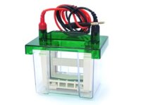 P3两块胶电泳仪（槽+芯）