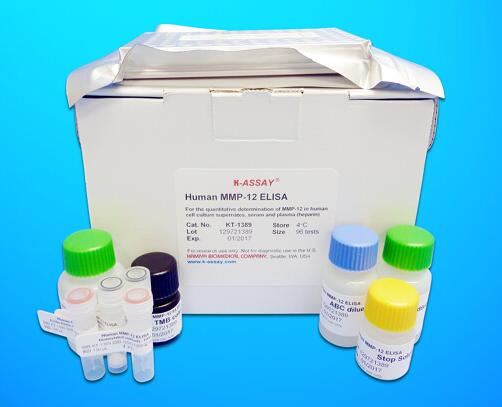 Carbohydrate antigen 19-9 ELISA Kit (CA19-9), Human