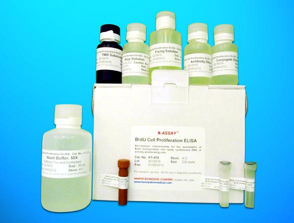 Insulin like Growth Factor 2, Antisense ELISA Kit (IGF2AS), Human