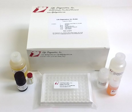 Rat Anti-Tetanus Toxoid IgG ELISA kit大鼠抗破伤风毒素IgG试剂盒