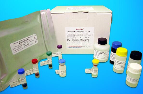 Matrix Metalloproteinase 8 ELISA Kit (MMP-8), Human