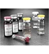 2-甲基-4，二硝基咪唑