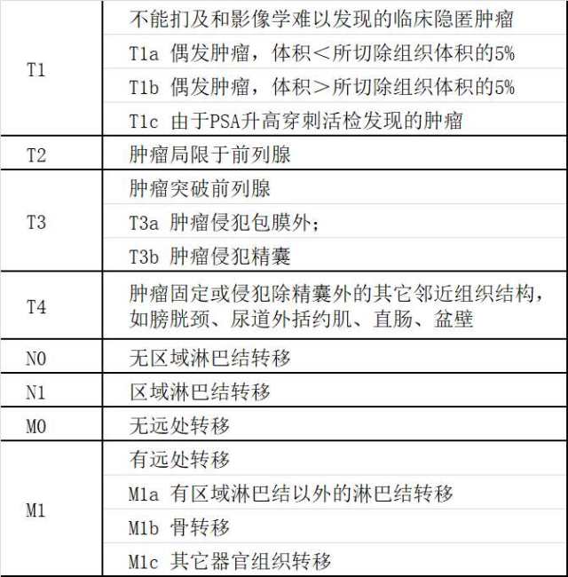 膀胱肿瘤分期图片