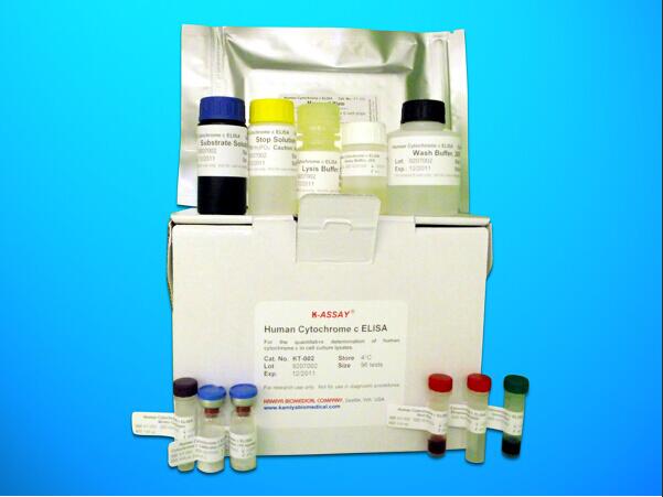 Anti-Oxidized Low Density Lipoprotein Antibody ELISA Kit (OLAb), Human