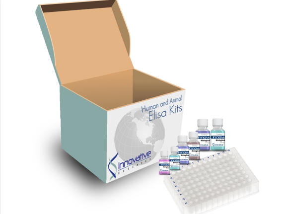 Human Alpha-1 Antitrypsin ELISA Kit for Urine, Milk, Saliva, and Cell Culture Samples