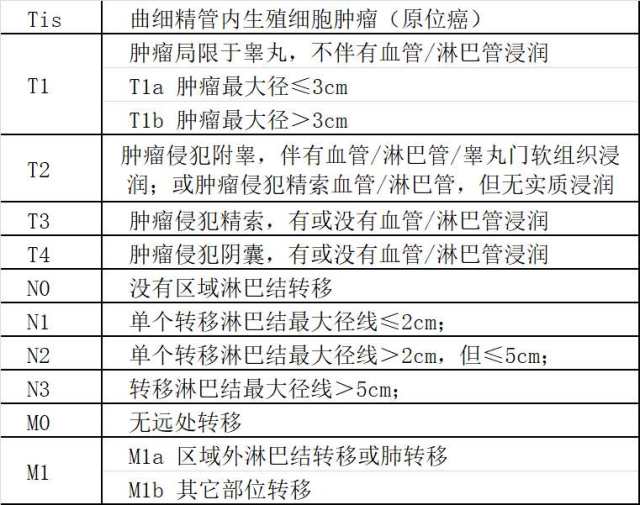 膀胱肿瘤分期图片