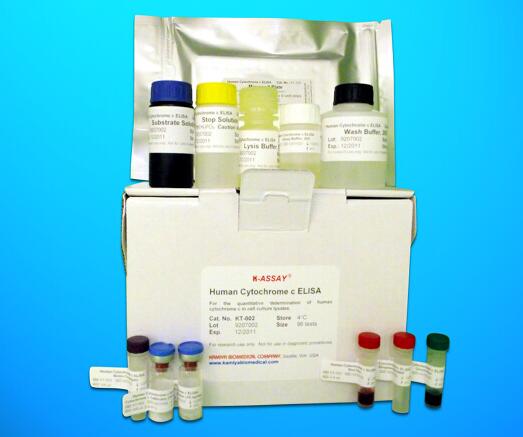 N-Terminal Pro Atrial Natriuretic Peptide ELISA Kit (NT-ProANP), Human
