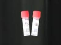 CK19，4ml