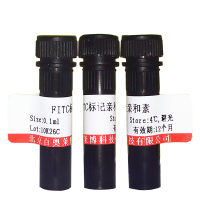 乙酰化牛血清白蛋白现货供应