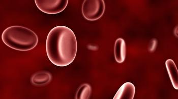 人红白细胞白血病细胞；HEL图片