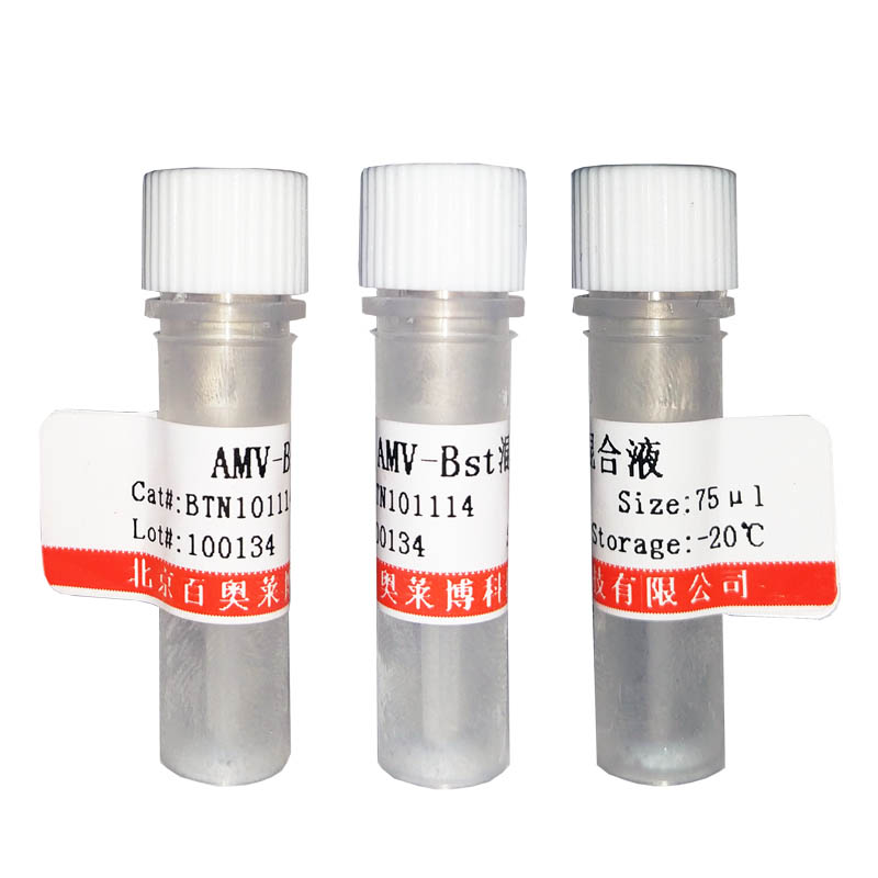 北京现货BTN70801型非酶DNA清除剂-2(＜200nt)销售