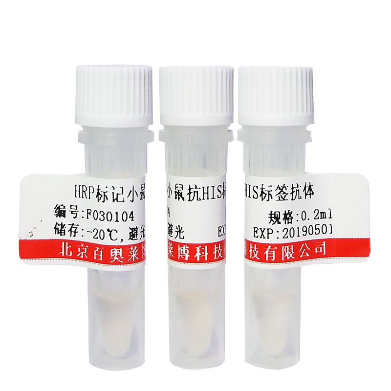 WE0357型抗GAPDH多克隆抗体北京厂家现货