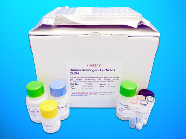 Selectin, Endothelium (E-Selectin) ELISA Kit, Human