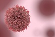 肿瘤细胞 or 免疫细胞？哪种 PD-L1 表达检测更靠谱？