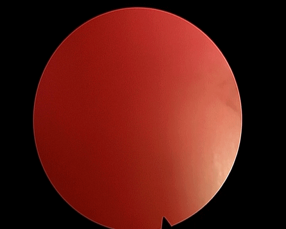 560_448gif 动态图 动图