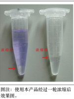 天净沙核酸浓缩剂