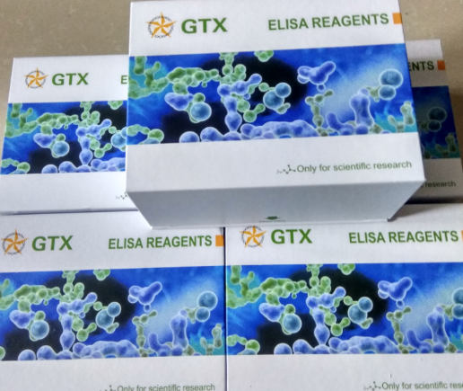 小鼠环磷酸鸟苷(cGMP)Elisa试剂盒