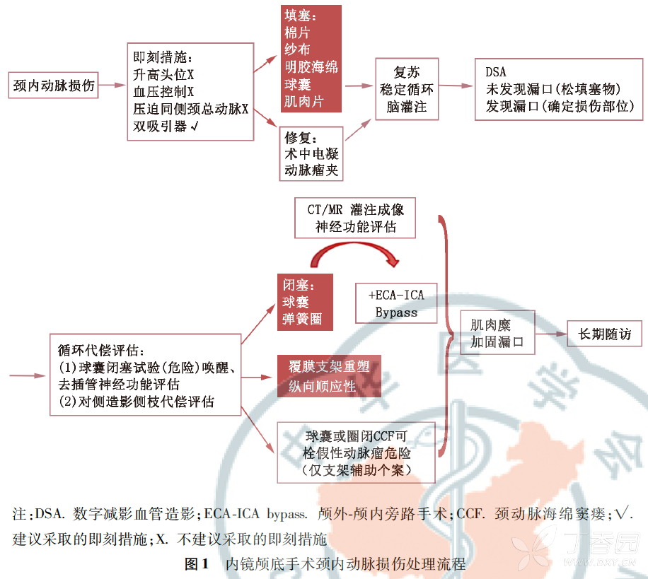 神经外科围手术期出血防治专家共识 18 Pdf下载 神经内外 丁香园论坛