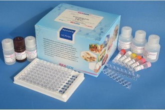 胱天蛋白酶8关联蛋白2(CASP8AP2)ELISA试剂盒