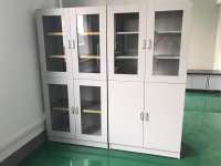 泰州实验室钢木药品柜