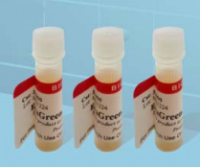 EVAGREEN 荧光染料