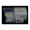 8分钟细胞RNA快速提取试剂盒 EZ-press RNA Purification Kit （B0004DP）