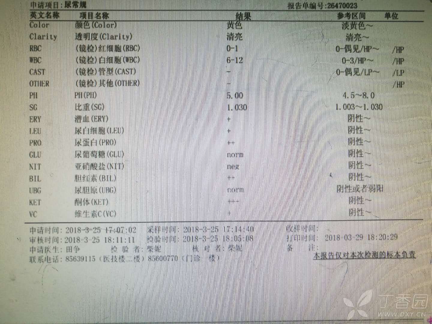 丁香园论坛 - 专业医生社区,医学,药学,生命科学,科研学术交流