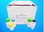 UV-Induced DNA Damage ELISA Kit (6-4PP Quantitation), General