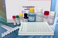 氯霉素快速检测卡