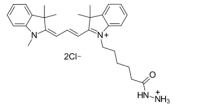 标记羰基荧光染料 Cyanine3 hydrazide CY3酰肼 杭州新乔生物