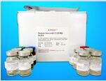 Di-N-Acetyl Chitobiase (CTBS) ELISA Kit, Human
