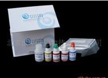 鸭免疫球蛋白G(IgG)ELISA试剂盒