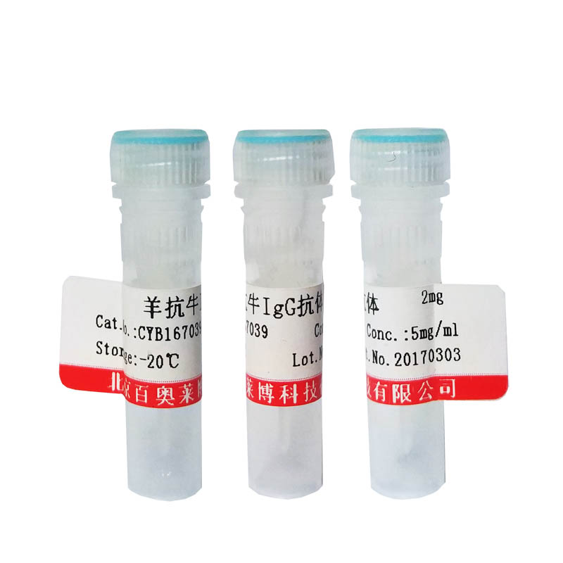 羊抗人IgA-RBITC(α链特异) RBITC标记抗体